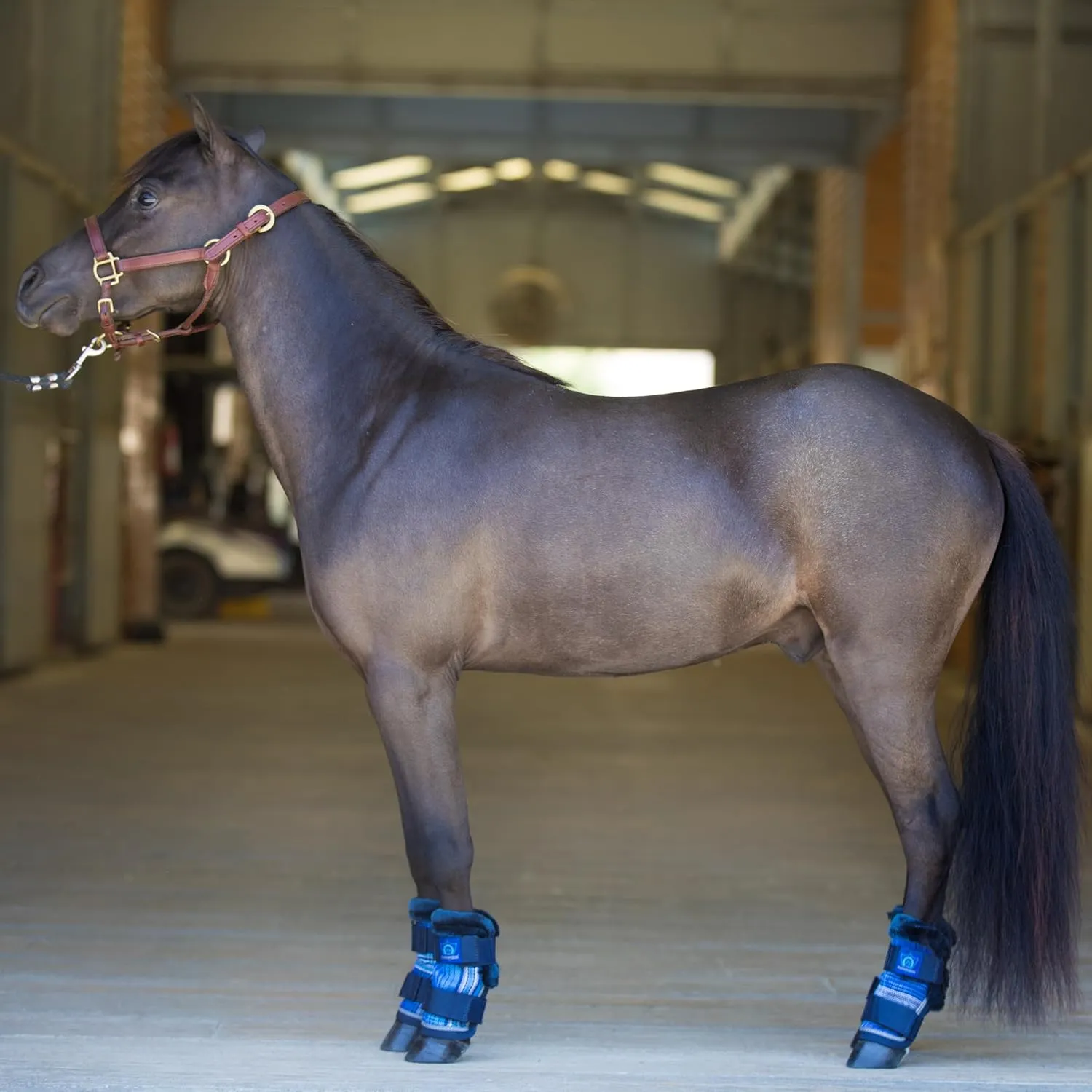 Kensington KPP Miniature Horse Fly Boots - Fly Pony Horse Boots Perfect for Equine Leg Wraps and Maximum Horse Fly Protection