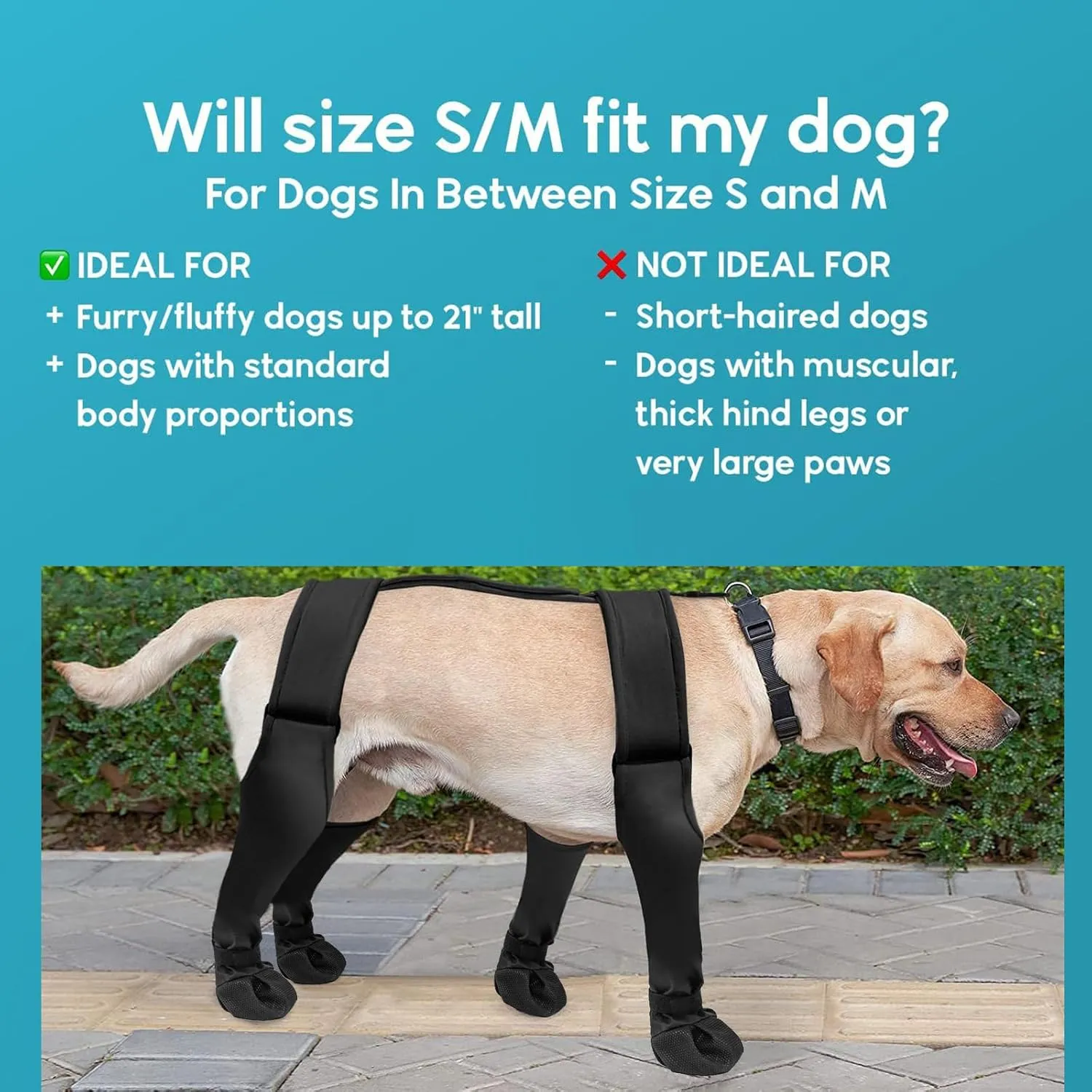 PetPhindU Dog Suspender Boots Tall Dog Boots Anti-Slip Fall Waterproof Dog Shoes Leggings Adjustable Suspender Boots Dogs Winter Snow Rain Hiking Paws Protector Dog Rain Shoes (S,Black)